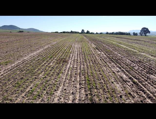 110HA FARM FOR SALE IN MALMESBURY RURAL